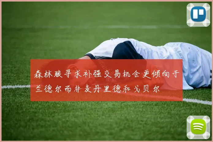 森林狼寻求补强交易机会更倾向于兰德尔而非麦丹里德和戈贝尔
